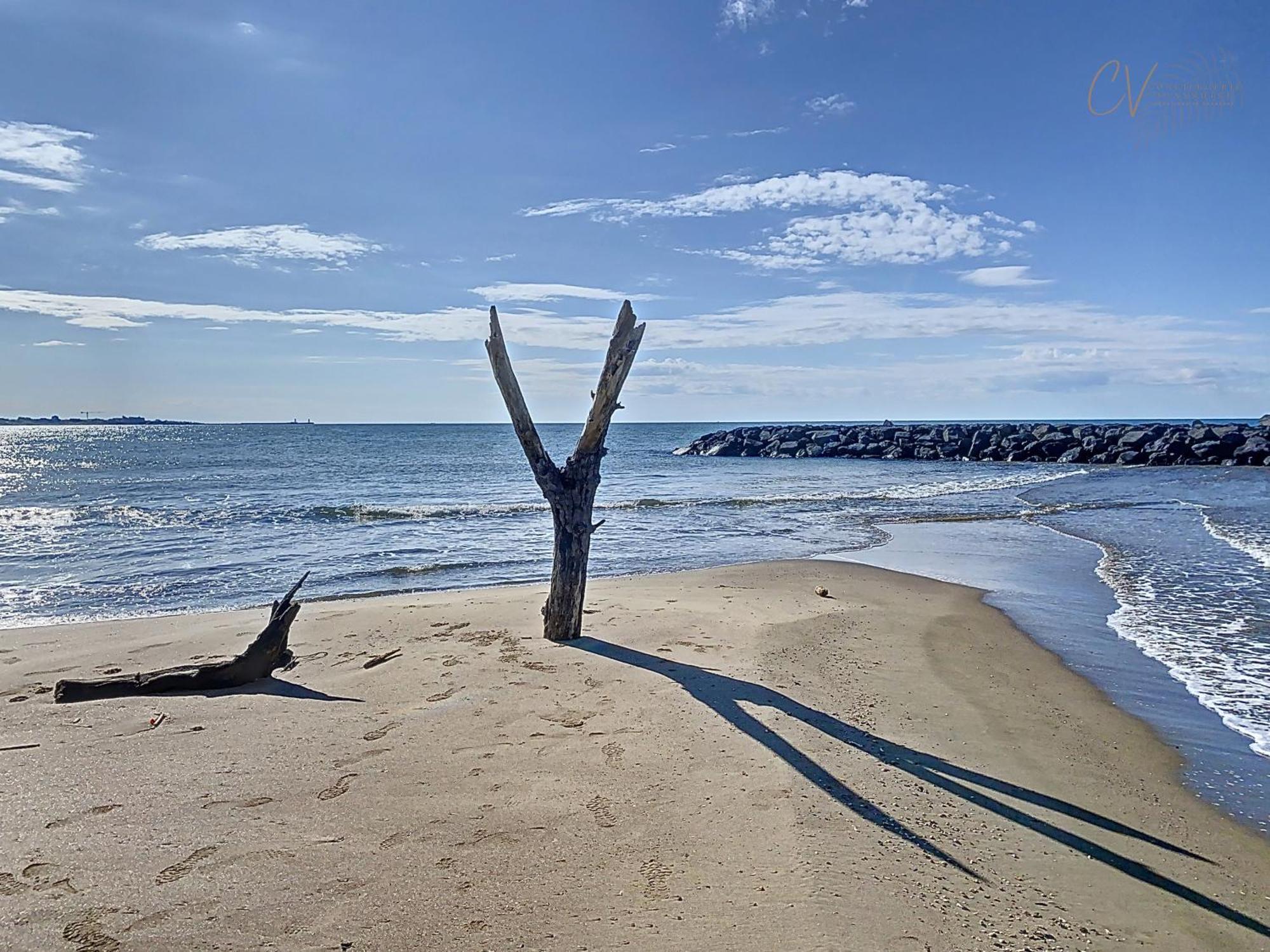 Maison bord de mer en résidence avec piscine Vias Esterno foto